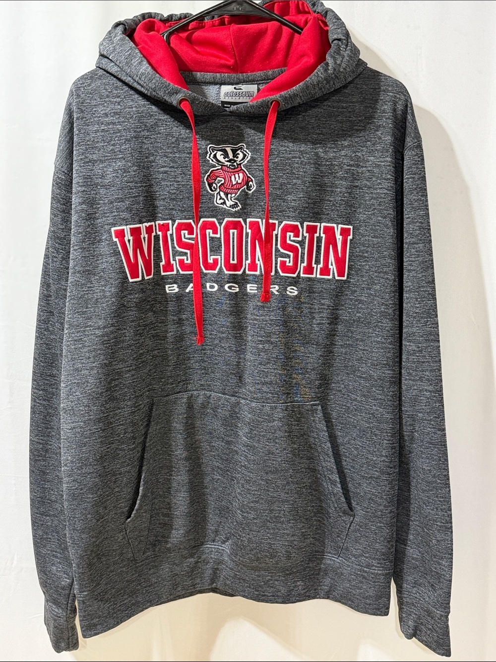 Wisconsin Badger Hooded Sweatshirt.